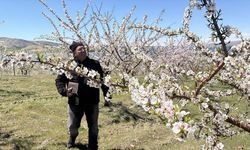 Baraj Gölü Çevresinde Badem Bereketi: Üreticiler Rekolte Artışı Bekliyor