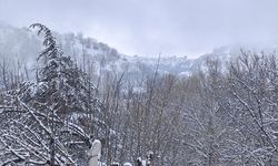 Beypazarı’nda Nisan Sürprizi: Kar Yağışı Çiçek Açan Ağaçları Beyaza Bürüdü