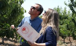 Zirai Don Raporu Tamamlandı: Tarım İçin Kapsamlı İklim Uyum Planı Önerisi