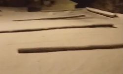 Elazığ Karakoçan'da kar yağışı etkili oldu