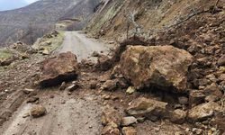 Elazığ Karakoçan'da Toprak Kayması Meydana Geldi