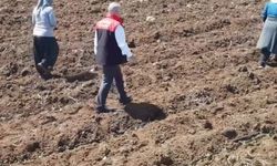 Elazığ’da Domates Üretiminde Yeni Sezon Başladı! 160 Dekarlık Alanda Fideler Toprakla Buluştu