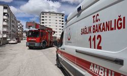 Elazığ’da Kayıp Zannedildi, Meğer Sadece Uyuyormuş!