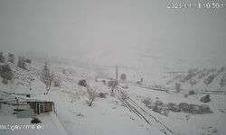 Malatya'da Aç Kalan Kurt Sürüsü Köye İndi