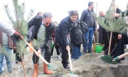 Malatya’da Kadınlarla El Ele: Bin Fidan Bin Nefes Etkinliği