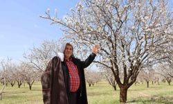 Şanlıurfa Badem Üretiminde Türkiye’de İkinci Sıraya Yükseldi