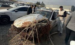 Şanlıurfa'da kontrolden çıkıp devrilen otomobilin sürücüsü hayatını kaybetti