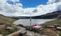 Siirt'teki Zirin Gölü yeniden hayat buldu