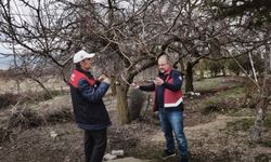 Zirai don alarmı: Ekipler sahada yoğun mesai