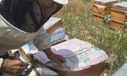 Kaynağı Malatya'da Bulunuyor...Bilim İnsanları ''Gençlik İksiri'' Üzerine Araştırma Yaptı