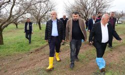 Başkan Sami Er Açıkladı: Don ve Dolu Hasarı İlgili Mercilere Sunuluyor