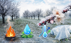 Don Alarmı: Bahçelerde Önlem Şart!