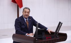 Kayısıda Dolu Darbesi: Hasar Tespit Ekipleri Sahaya İniyor