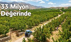 Yeşilyurt’ta Dev İcra Satışı: 33 Milyon TL Değerindeki Kayısı Fabrikası Yeni Sahibini Arıyor