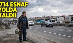 Yeni Sanayi Sitesi'nde ciddi sorun: 714 iş yeri var ama kavşak ve otobüs yok!