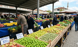 Dalında Yok Ama Pazarda Var: Malatya’da Erkenci Meyveler Tezgahta