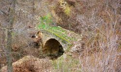 Malatya Darendede Ecdad Yadigarı Köprüler Tehlikede: Gözler 23 Nisan Tarihinde