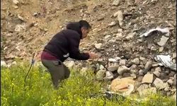 Göç yolundaki Leyleği Tüfekle Vurdular