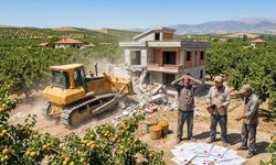 Malatya'da Kayısı Bahçesine İzinsiz Ev Yapanlar Yandı! Ağır Cezalar Yayımlandı