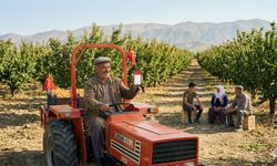 Çiftçinin Beklediği Müjde Geldi! Destek Ödemeleri Bugün 18:00'de Hesaplara Geçiyor