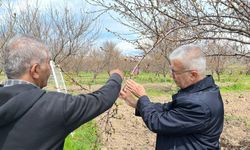 Zirai Don Tehlikesine Karşı Uzmanından Kritik Uyarılar: Hangi Yöntem Gerçekten İşe Yarıyor?