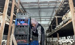 Malatya'da Alternatif Üretim Atağı: Akçadağ'daki Tesiste Ayda 15 Ton Üretiliyor