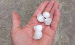 Hekimhan'a Ceviz Büyüklüğünde Dolu Yağdı! Kayısılar Zarar Gördü