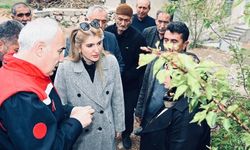 Kayısıdaki Hasar Erdoğan'a Sunulacak! Borçlar Ertelenecek mi?