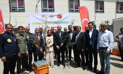 Adıyaman'da Çiftçiye Destek: Binlerce Zeytin Fidanı ve Arılı Kovan Dağıtıldı!