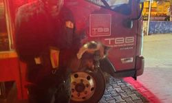 Adıyaman'da Motora Sıkışan Kedi İçin Seferber Olup Kurtardılar