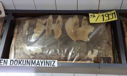 Bu Bal Çerçevelerini Gören Dönüp Bir Daha Bakıyor