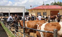 Elazığ Hayvan Pazarı'nda Arife Günü Yoğunluğu