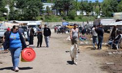 Elazığ Hayvan Pazarı'nda Bayramın Son Günü Hareketliliği