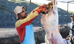 Elazığ’da Bayram Namazı Sonrası Kurban Mesaisi Başladı