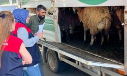 Elazığ'da Kurban Öncesi Sıkı Denetim!