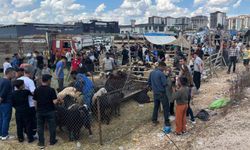 Gaziantep'te kurban pazarında arefe yoğunluğu