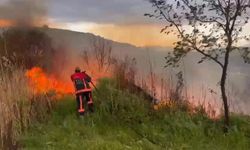 Kuşçu Köyü’nde Çıkan Yangın Paniğe Neden Oldu