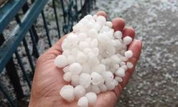 Malatya'da Dolu Felaketi! Kayısı Üreticisi Çağla Döneminde Vuruldu