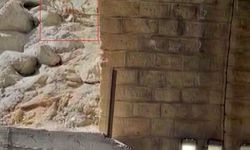 Malatya’da Sarp Kayalıklarda Görüntülendiler: Dağ Keçileri Kamerada