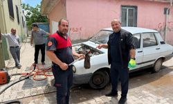 Otomobilin Motoruna Giren Yılan Korku Dolu Anlar Yaşattı!