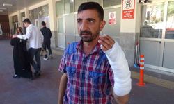 Şanlıurfa’da “acemi kasap” yoğunluğu: 232 kişi yaralandı