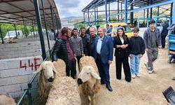 Darende Hayvan Pazarında Bayram Yoğunluğu Arttı