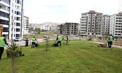 Elazığ’da Yeşil Dönüşüm Hız Kazandı: Kent Genelinde Park ve Refüjlerde Yoğun Çalışma