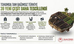 Tarımda Yerli Tohum Hamlesi: 39 Yeni Çeşit Daha Tescillendi