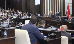 Malatya Yeşilyurtspor'un Yeni İsmi Belli Oldu! Forma Rengi de Değişiyor