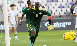 Amara Diouf Kimdir? Fenerbahçe’nin Yeni Transferi