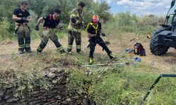 Diyarbakır'da su kuyusunda mahsur kalan yaban domuzu için ekipler seferber oldu