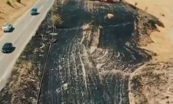 Kahta'da korkutan tarla yangını: 15 dönümlük emek dakikalar içinde küle döndü!