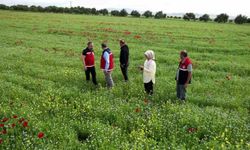 Adıyaman Çiftçisinin Yeni Umudu