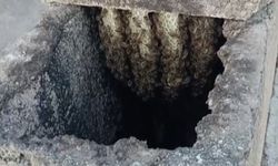Adıyaman’da Bacaya Oğul Veren Arılar Kovana Yerleştirildi